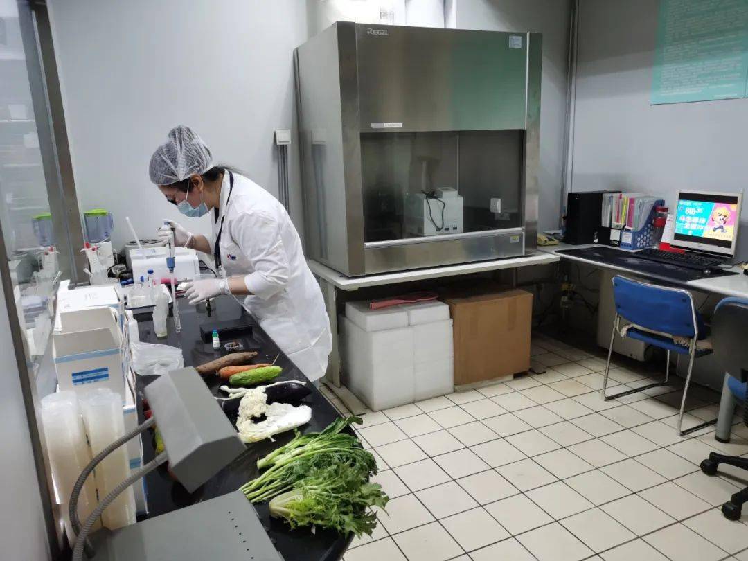 加乐镇食品检测实验室装修方案